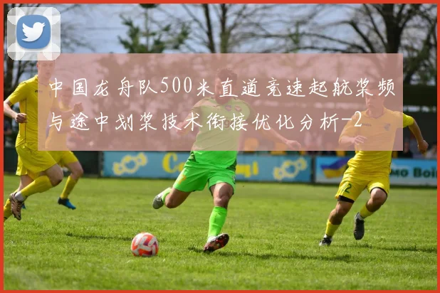 中国龙舟队500米直道竞速起航桨频与途中划桨技术衔接优化分析