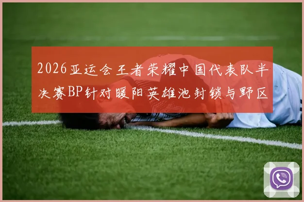 2026亚运会王者荣耀中国代表队半决赛BP针对暖阳英雄池封锁与野区节奏演变解析