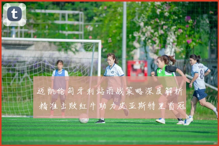 迈凯伦匈牙利站雨战策略深度解析 精准击败红牛助力皮亚斯特里首冠