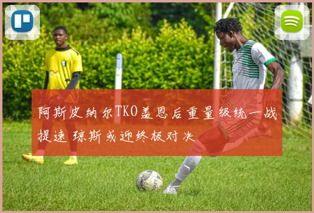 阿斯皮纳尔TKO盖恩后重量级统一战提速 琼斯或迎终极对决